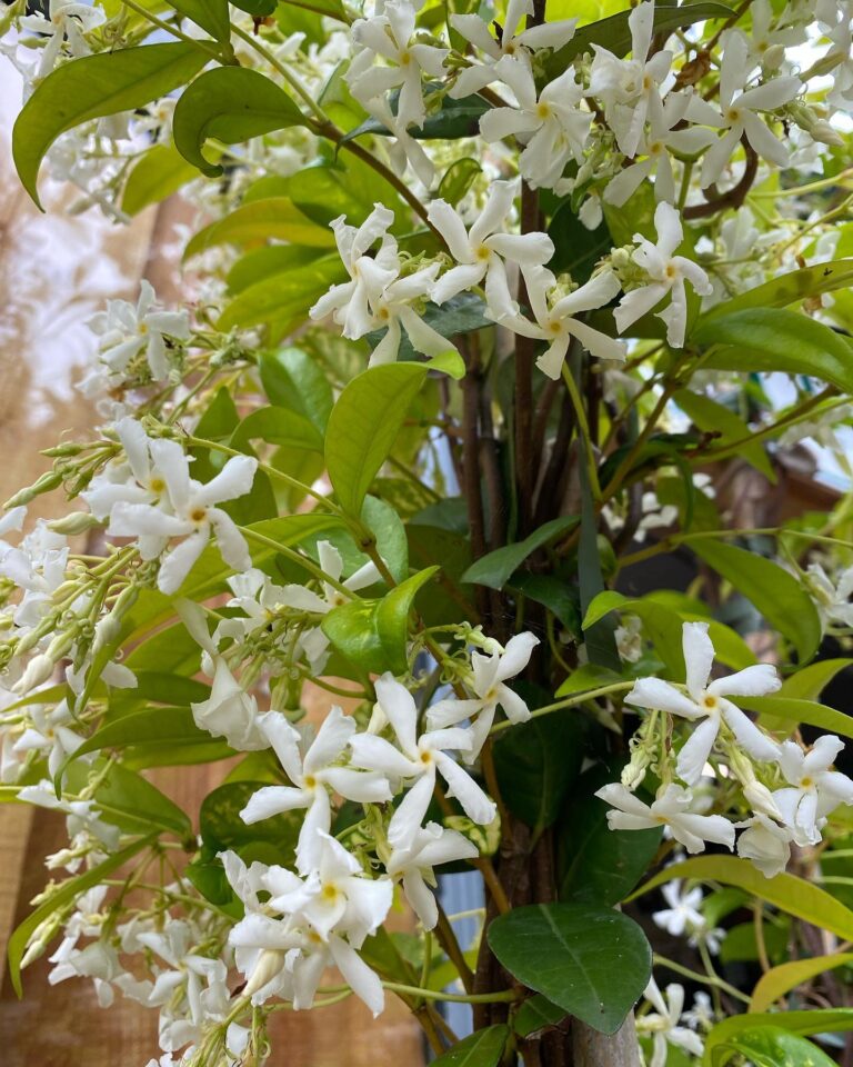 294385420_3132023423727177_6525919896728293514_n