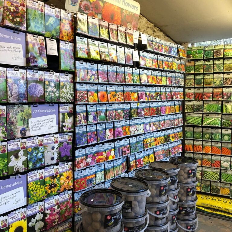 75225531_113417953277175_9158747021742336971_n